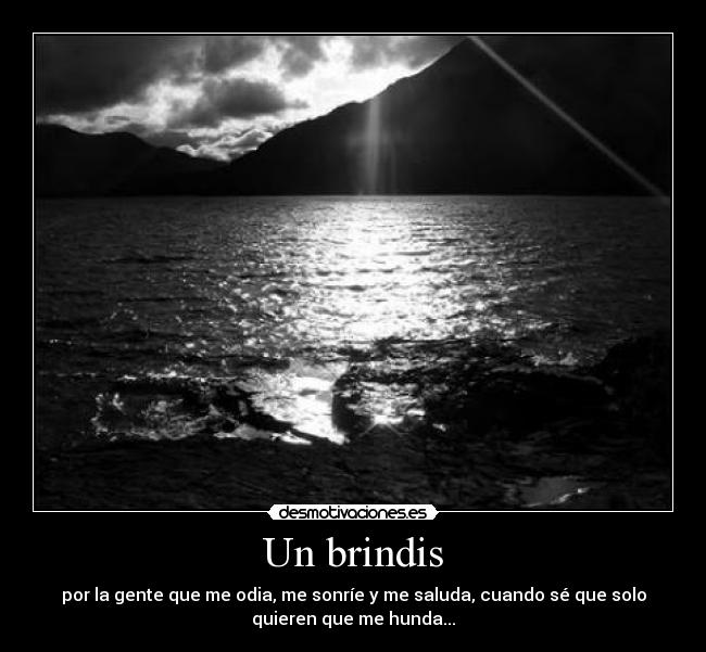 Un brindis - por la gente que me odia, me sonríe y me saluda, cuando sé que solo
quieren que me hunda...