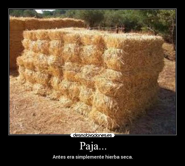 Paja... - Antes era simplemente hierba seca.