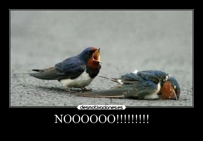 NOOOOOO!!!!!!!!! -