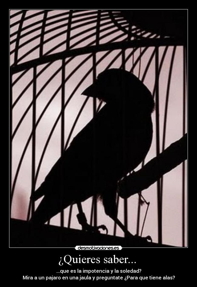 ¿Quieres saber...  - 