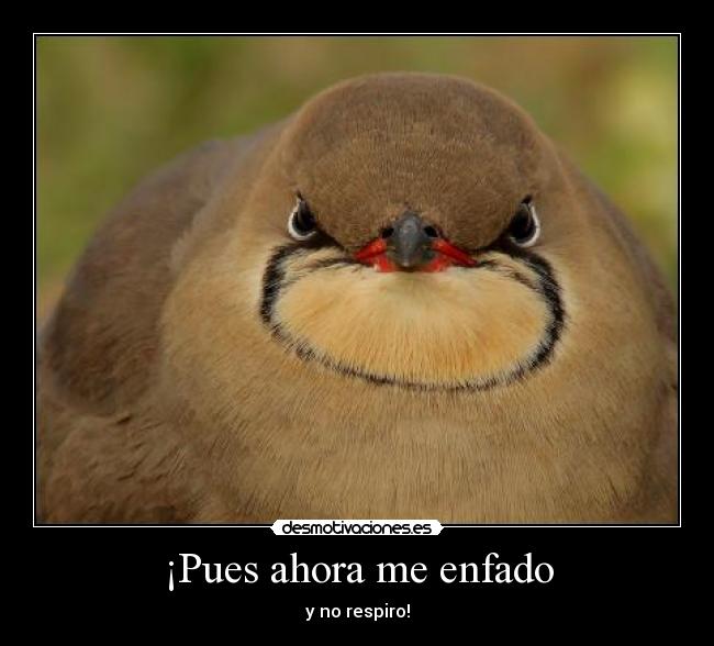 ¡Pues ahora me enfado -