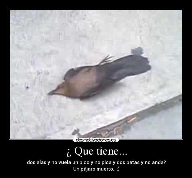 ¿ Que tiene... -