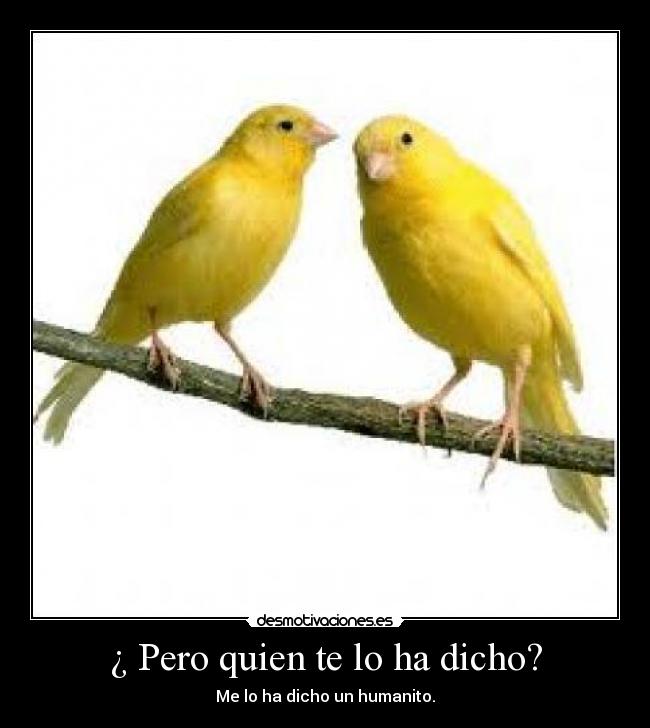 ¿ Pero quien te lo ha dicho? -