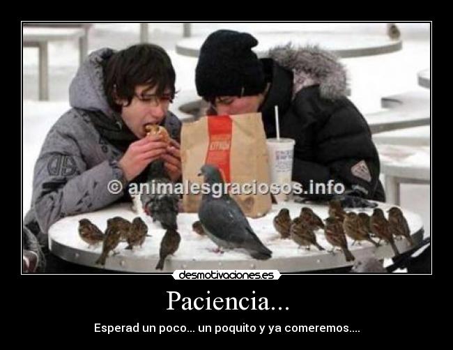 Paciencia... - Esperad un poco... un poquito y ya comeremos....