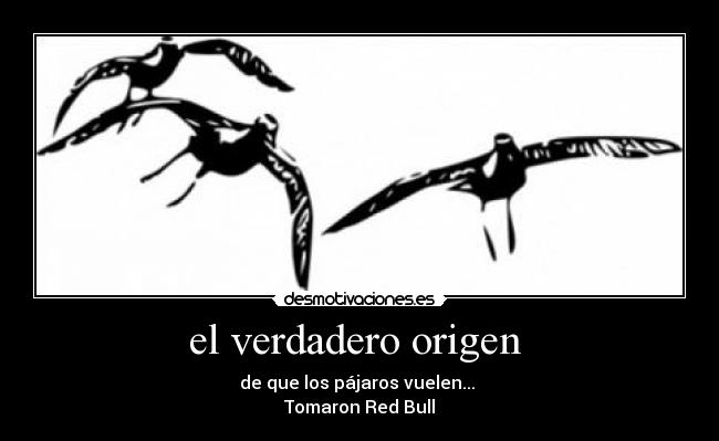 el verdadero origen  - 