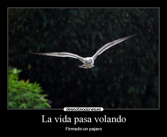 carteles vida jsjs desmotivaciones