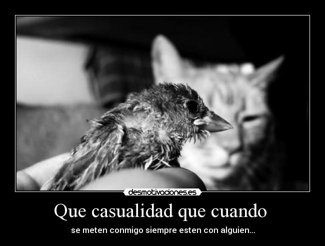 Que casualidad que cuando  - se meten conmigo siempre esten con alguien...