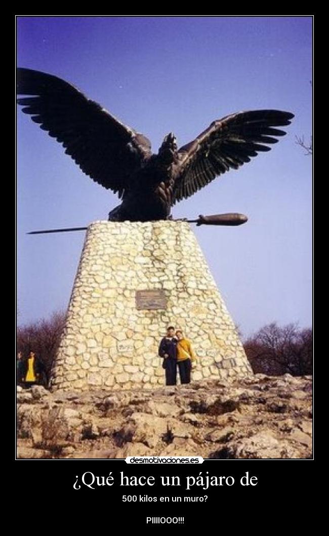 ¿Qué hace un pájaro de - 500 kilos en un muro?

PIIIIOOO!!!