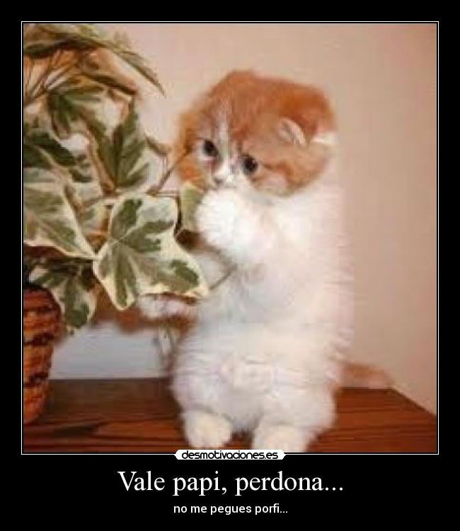 Vale papi, perdona... -