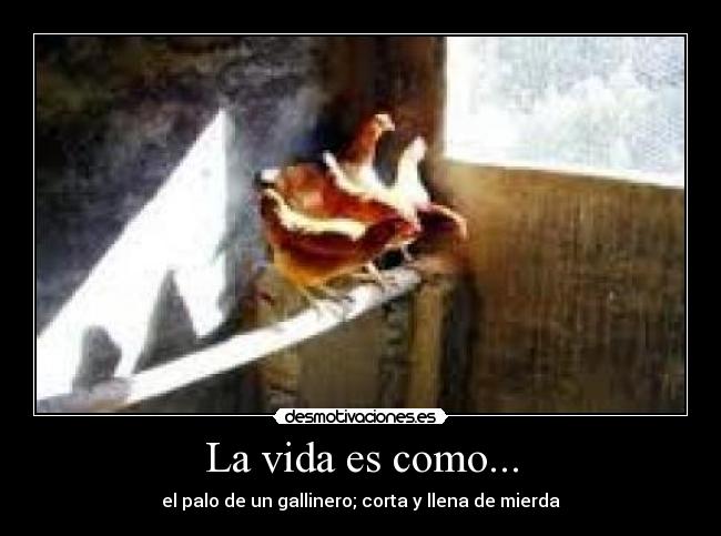 La vida es como... - el palo de un gallinero; corta y llena de mierda
