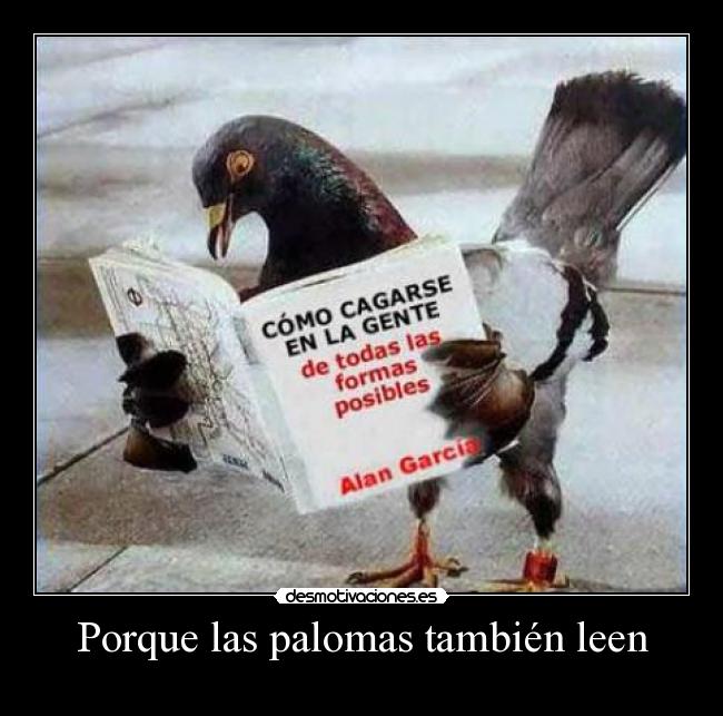 Porque las palomas también leen -