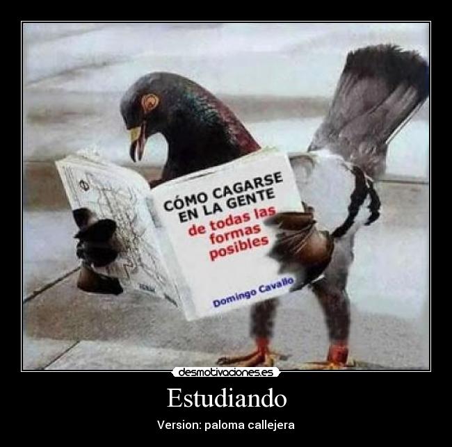 Estudiando -
