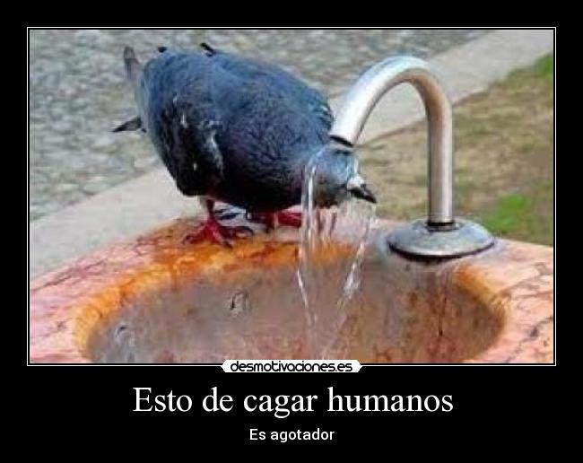 Esto de cagar humanos -
