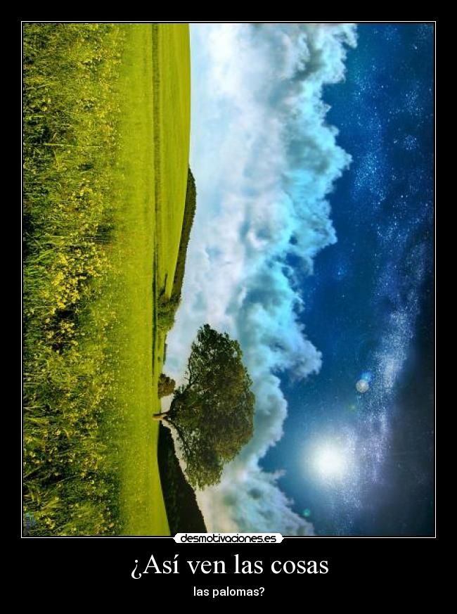 ¿Así ven las cosas - las palomas?