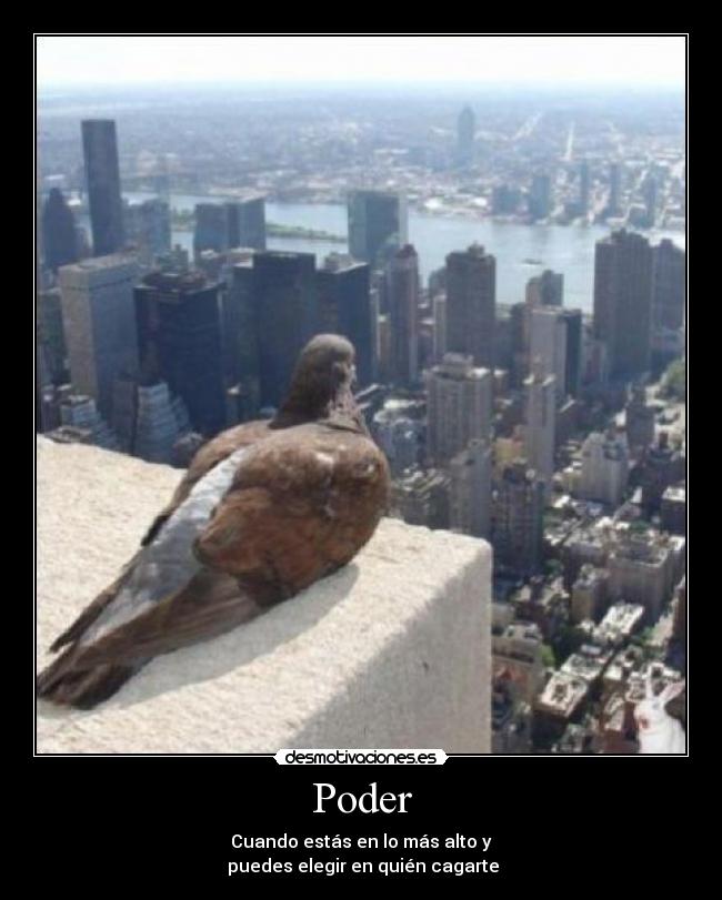 Poder - Cuando estás en lo más alto y
puedes elegir en quién cagarte
