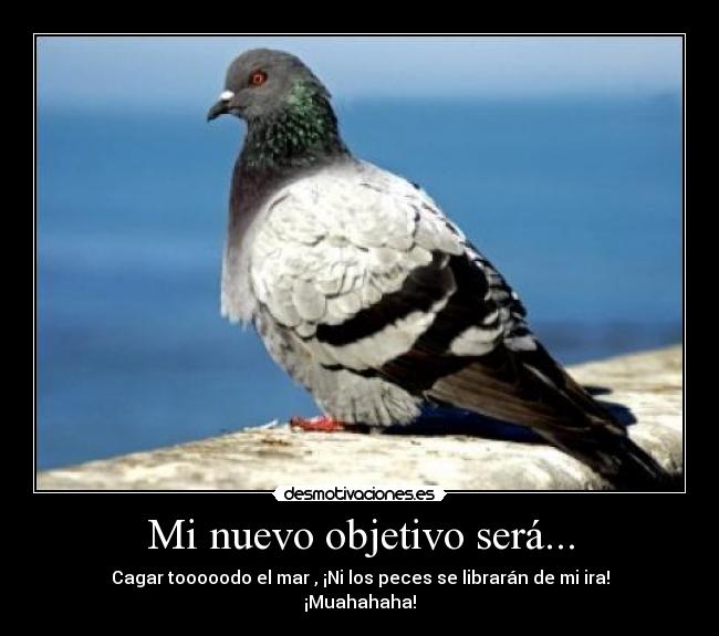 Mi nuevo objetivo será... -