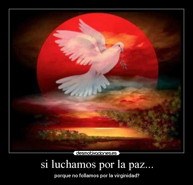 si luchamos por la paz... - 