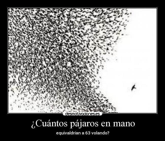 ¿Cuántos pájaros en mano - equivaldrían a 63 volando?