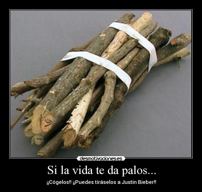 Si la vida te da palos... -