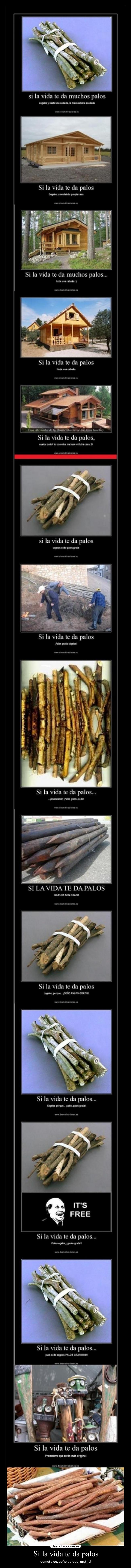 Si la vida te da palos - cometelos, coño palodul gratris!