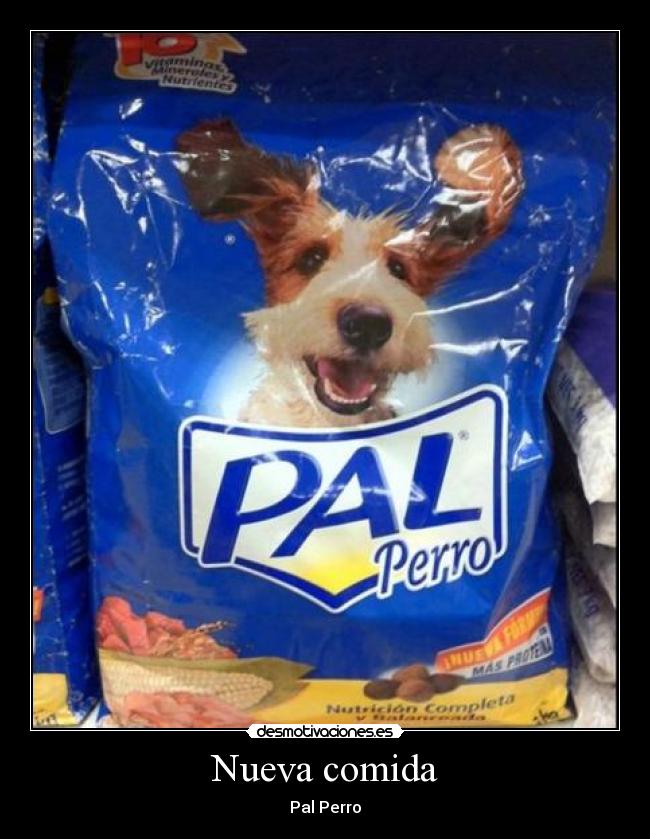 Nueva comida - 