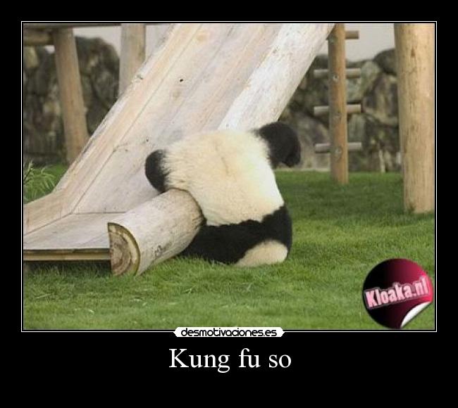 Kung fu so -
