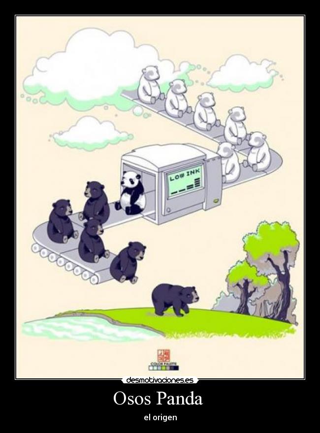 Osos Panda - el origen