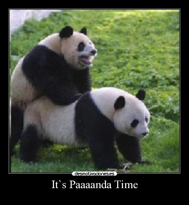 It`s Paaaanda Time - 