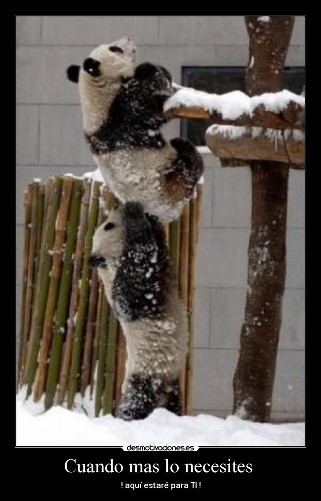 Cuando mas lo necesites  - 