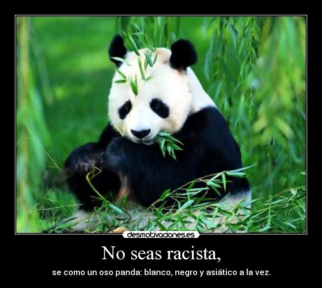 No seas racista, - 