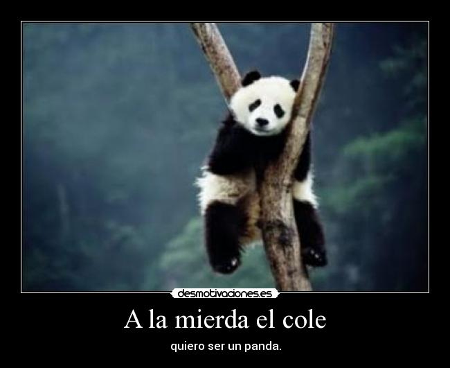 A la mierda el cole - quiero ser un panda.