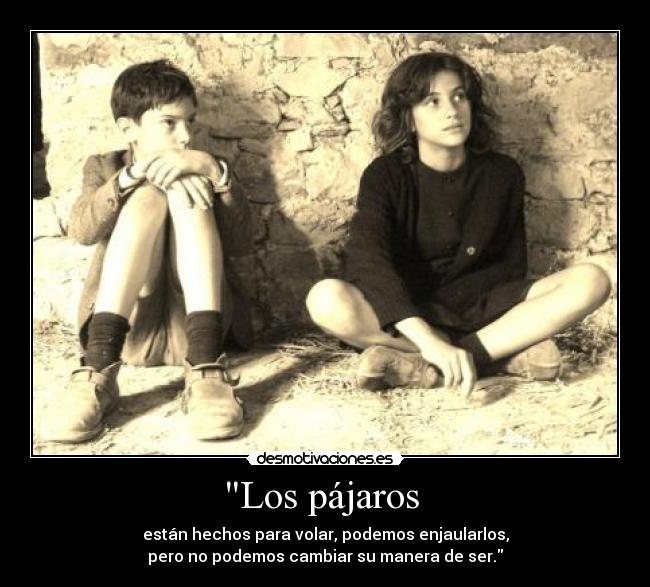 carteles negre desmotivaciones