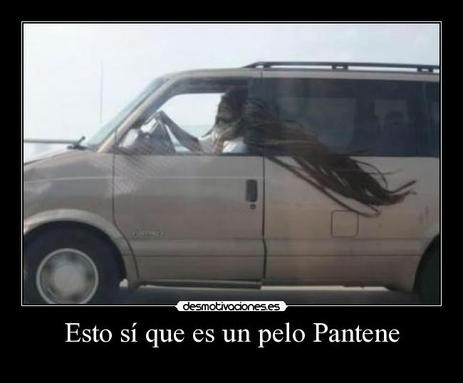 carteles pantene desmotivaciones