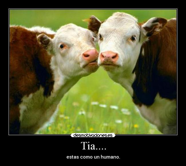 Tia.... - estas como un humano.