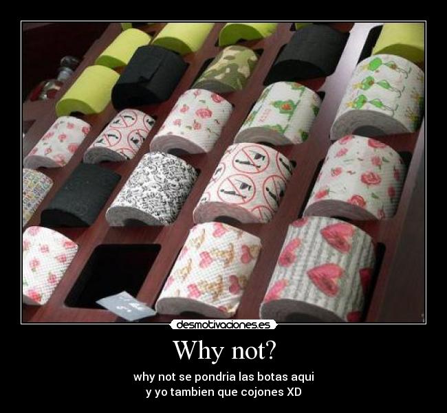 carteles why not papel higienico desmotivaciones