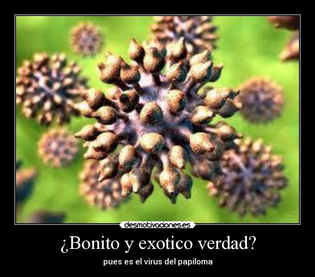 ¿Bonito y exotico verdad? -