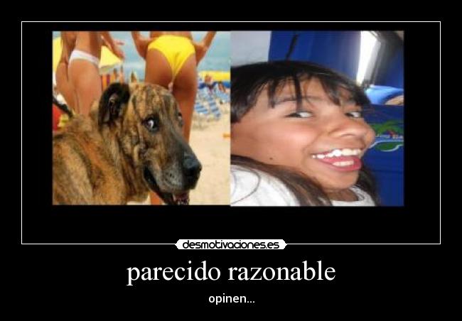 parecido razonable -