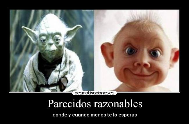 Parecidos razonables -