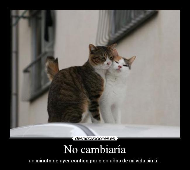 No cambiaría - 