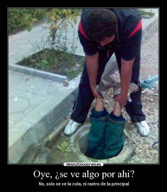 Oye, ¿se ve algo por ahi? - 