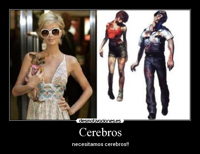 Cerebros - 