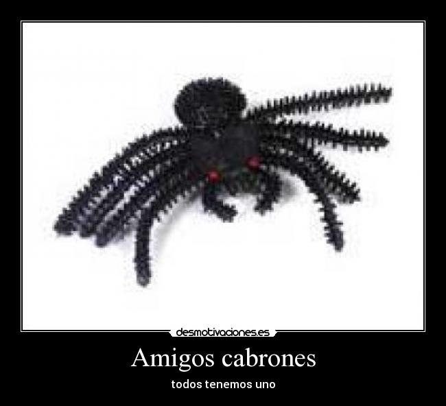 Amigos cabrones - todos tenemos uno