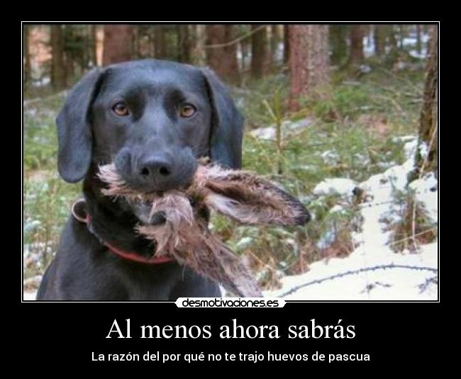 Al menos ahora sabrás - 