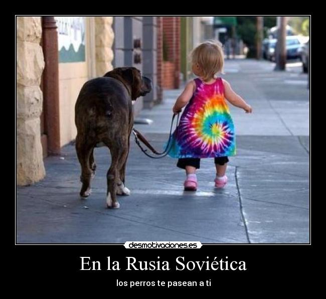En la Rusia Soviética - los perros te pasean a ti