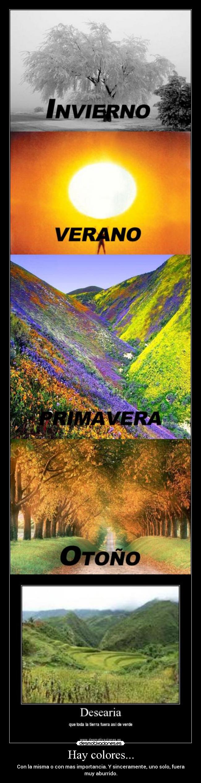 Hay colores... - Con la misma o con mas importancia. Y sinceramente, uno solo, fuera muy aburrido.