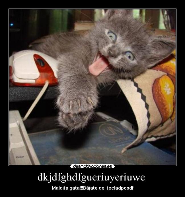 dkjdfghdfgueriuyeriuwe  - 