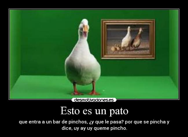 Esto es un pato -