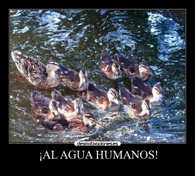 ¡AL AGUA HUMANOS! -