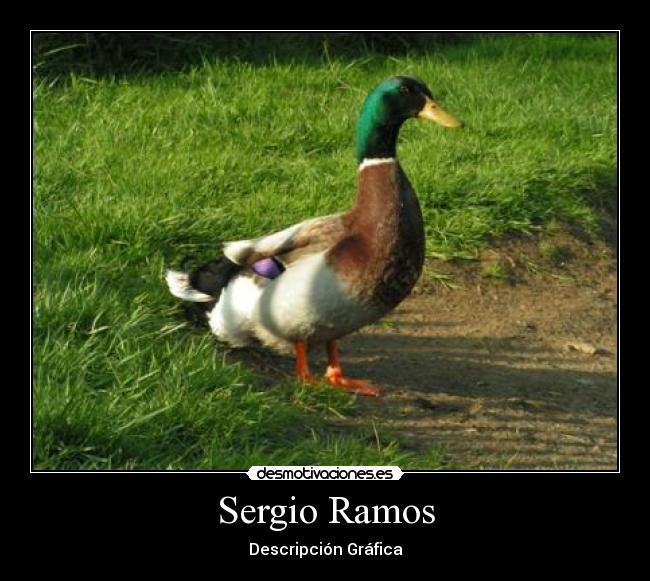 Sergio Ramos -