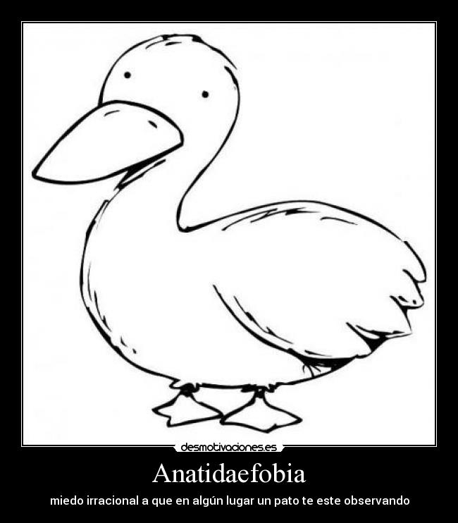 Anatidaefobia - 